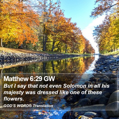 Matthew 6:29 GW Bible Verse Image