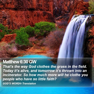 Matthew 6:30 GW Bible Verse Image