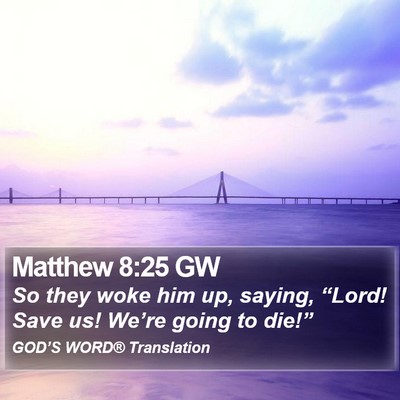 Matthew 8:25 GW Bible Verse Image