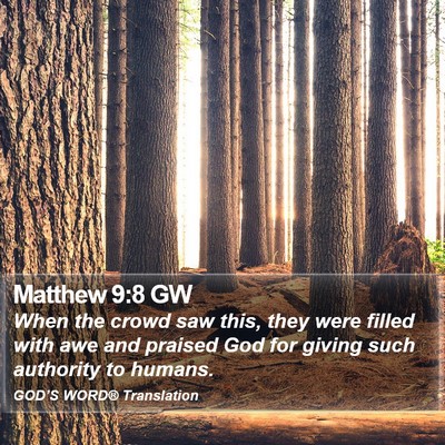 Matthew 9:8 GW Bible Verse Image