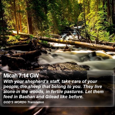 Micah 7:14 GW Bible Verse Image