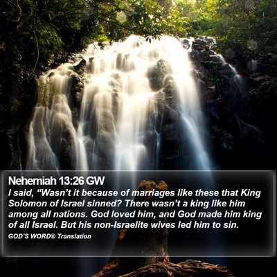 Nehemiah 13:26 GW Bible Verse Image