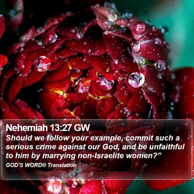 Nehemiah 13:27 GW Bible Verse Image
