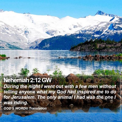 Nehemiah 2:12 GW Bible Verse Image