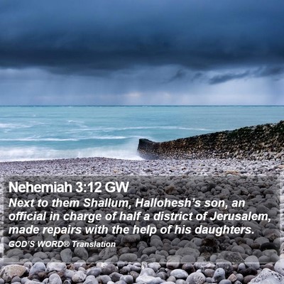 Nehemiah 3:12 GW Bible Verse Image