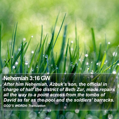 Nehemiah 3:16 GW Bible Verse Image