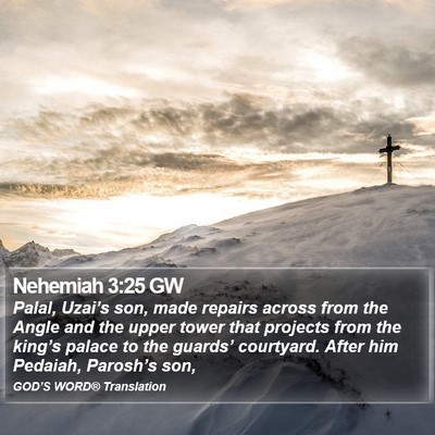 Nehemiah 3:25 GW Bible Verse Image