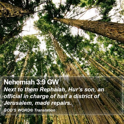Nehemiah 3:9 GW Bible Verse Image