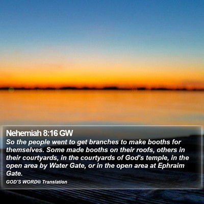 Nehemiah 8:16 GW Bible Verse Image