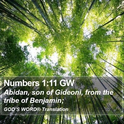 Numbers 1:11 GW Bible Verse Image
