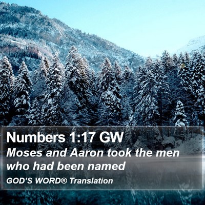 Numbers 1:17 GW Bible Verse Image