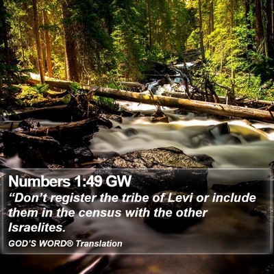 Numbers 1:49 GW Bible Verse Image
