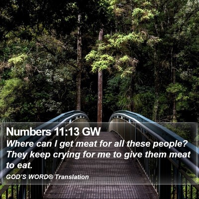 Numbers 11:13 GW Bible Verse Image