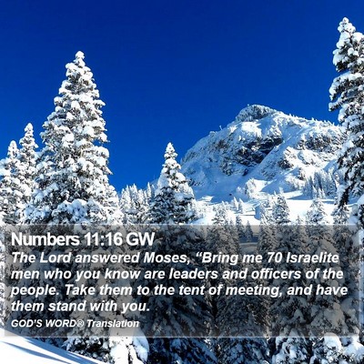 Numbers 11:16 GW Bible Verse Image