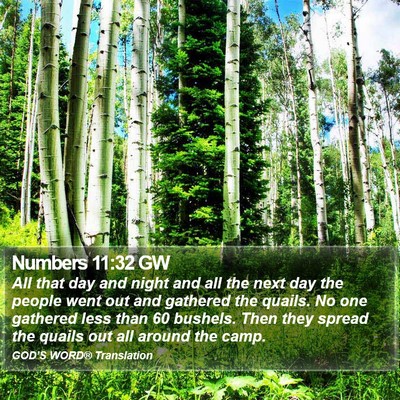 Numbers 11:32 GW Bible Verse Image