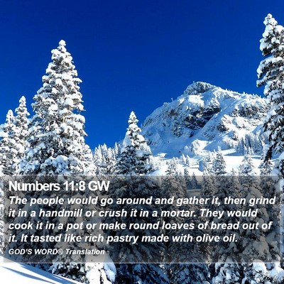Numbers 11:8 GW Bible Verse Image