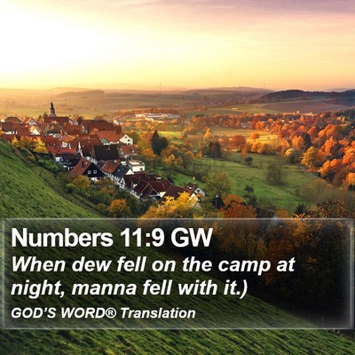 Numbers 11:9 GW Bible Verse Image