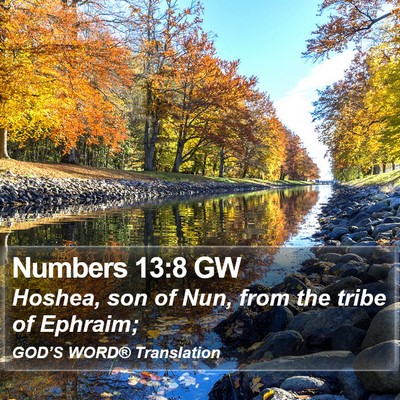 Numbers 13:8 GW Bible Verse Image