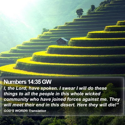 Numbers 14:35 GW Bible Verse Image
