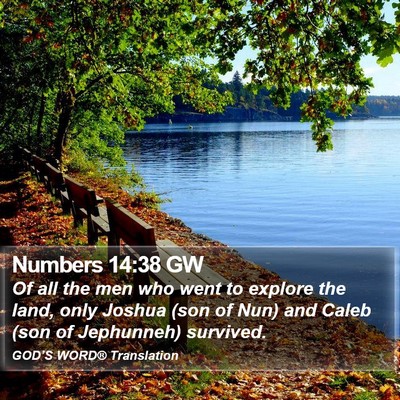 Numbers 14:38 GW Bible Verse Image