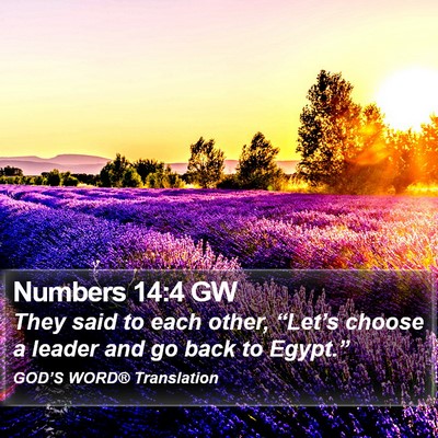 Numbers 14:4 GW Bible Verse Image
