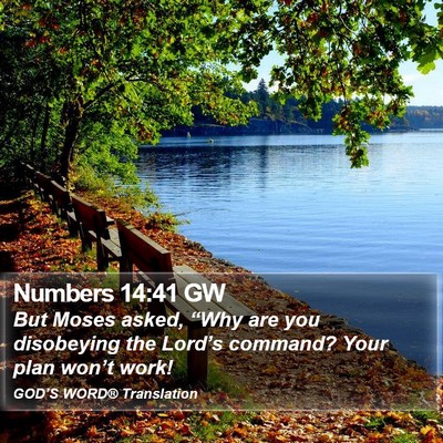 Numbers 14:41 GW Bible Verse Image