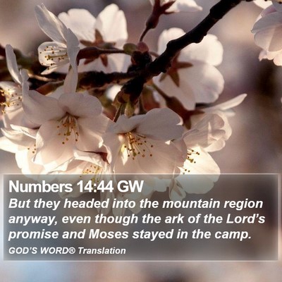 Numbers 14:44 GW Bible Verse Image
