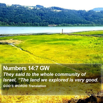 Numbers 14:7 GW Bible Verse Image
