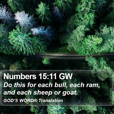 Numbers 15:11 GW Bible Verse Image