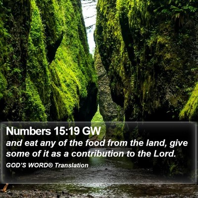 Numbers 15:19 GW Bible Verse Image