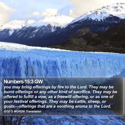 Numbers 15:3 GW Bible Verse Image