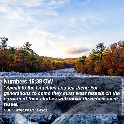 Numbers 15:38 GW Bible Verse Image
