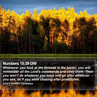 Numbers 15:39 GW Bible Verse Image