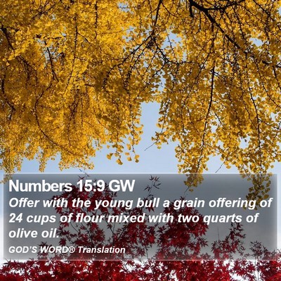 Numbers 15:9 GW Bible Verse Image