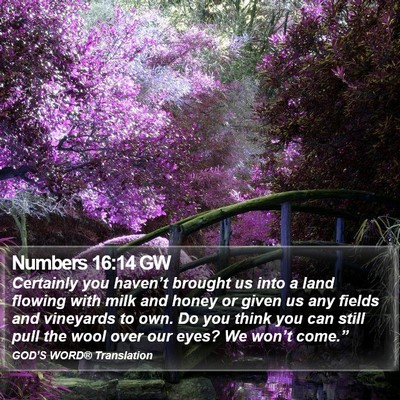 Numbers 16:14 GW Bible Verse Image