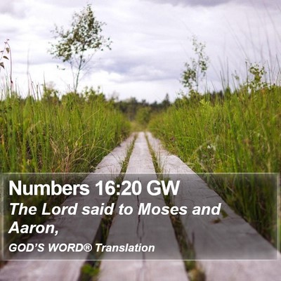 Numbers 16:20 GW Bible Verse Image