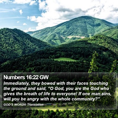 Numbers 16:22 GW Bible Verse Image