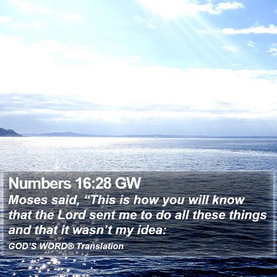 Numbers 16:28 GW Bible Verse Image