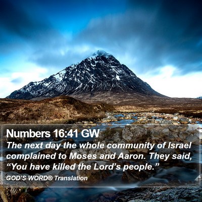 Numbers 16:41 GW Bible Verse Image