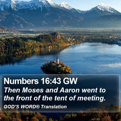 Numbers 16:43 GW Bible Verse Image