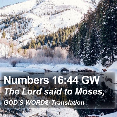 Numbers 16:44 GW Bible Verse Image