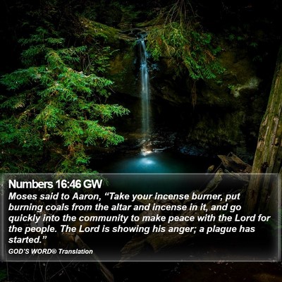 Numbers 16:46 GW Bible Verse Image
