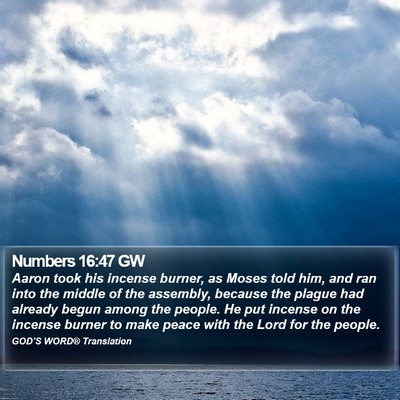 Numbers 16:47 GW Bible Verse Image