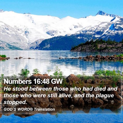 Numbers 16:48 GW Bible Verse Image