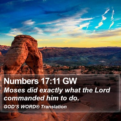 Numbers 17:11 GW Bible Verse Image