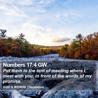Numbers 17:4 GW Bible Verse Image