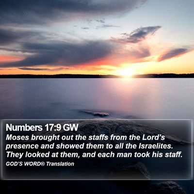 Numbers 17:9 GW Bible Verse Image