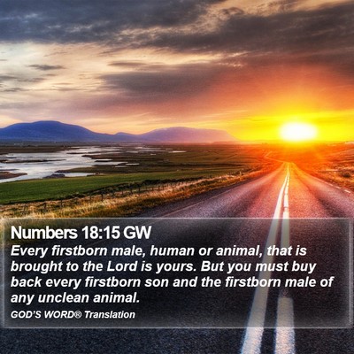 Numbers 18:15 GW Bible Verse Image