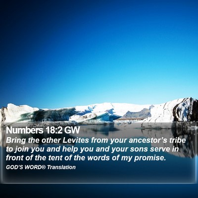 Numbers 18:2 GW Bible Verse Image