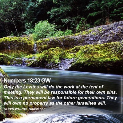 Numbers 18:23 GW Bible Verse Image